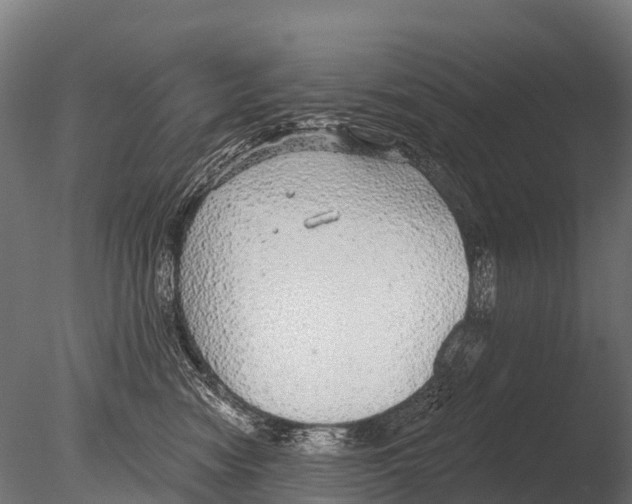 X0000085000474200704021338