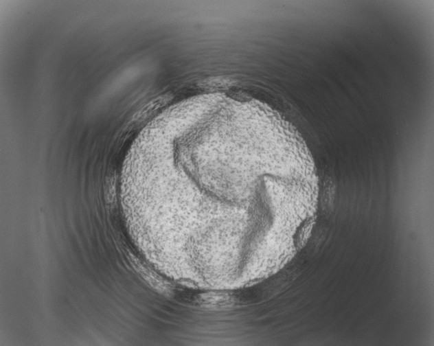 X0000085000477200704021338