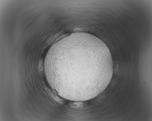 X0000085000478200704021338