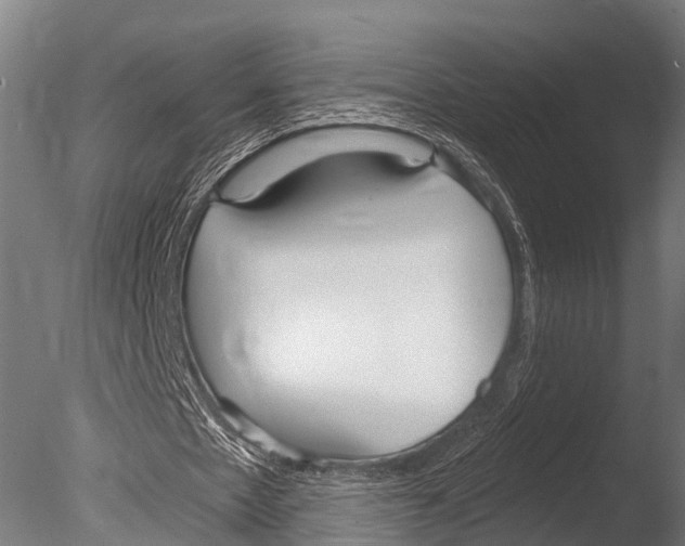 X0000085000481200704021338