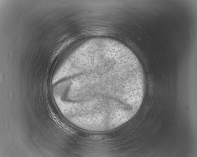 X0000085000482200704021338