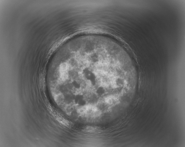 X0000085000487200704021337