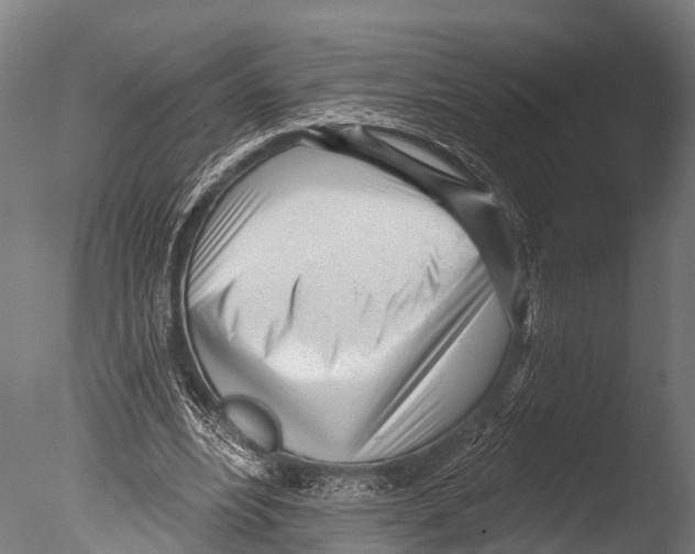 X0000085000488200704021337