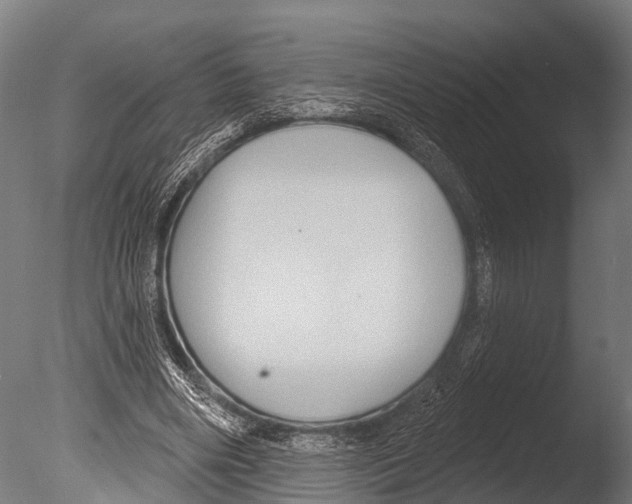 X0000085000490200704021337