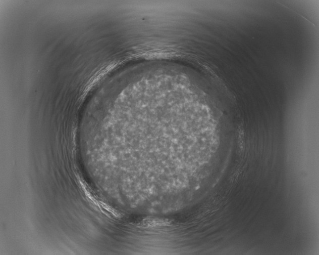 X0000085000491200704021337