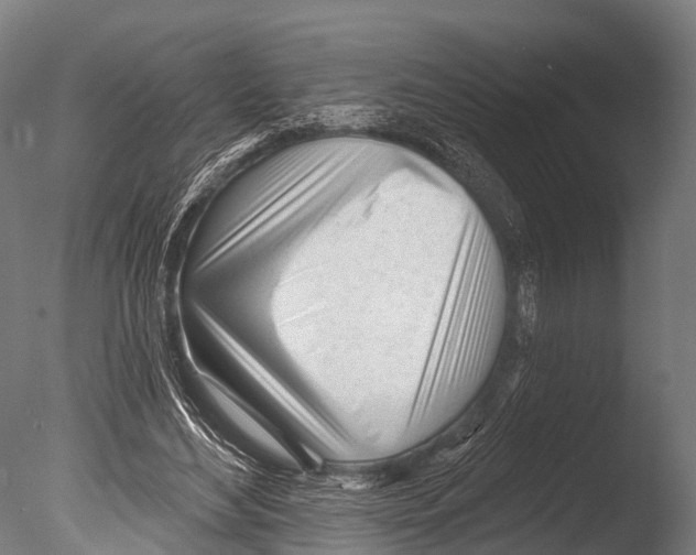 X0000085000492200704021337