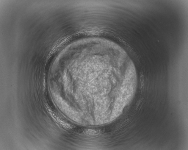 X0000085000494200704021337