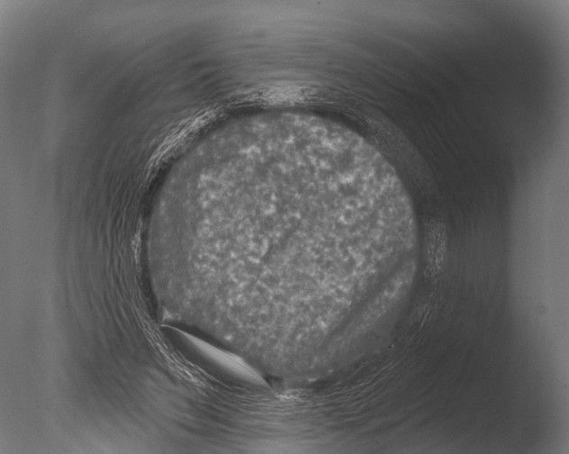 X0000085000495200704021337