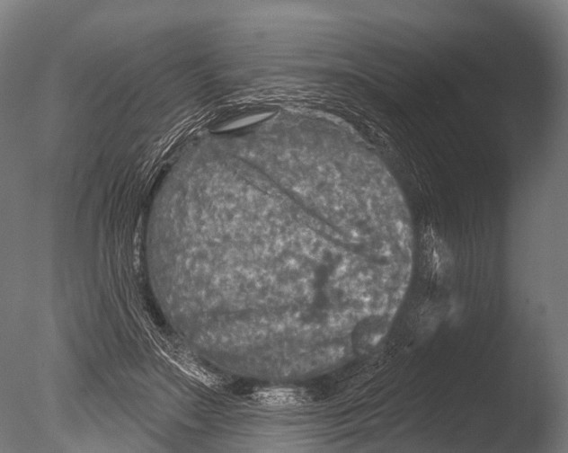 X0000085000499200704021337