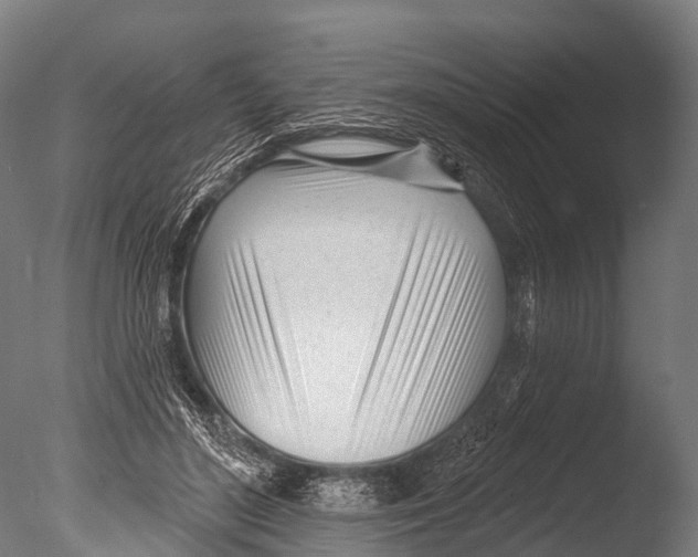 X0000085000500200704021337