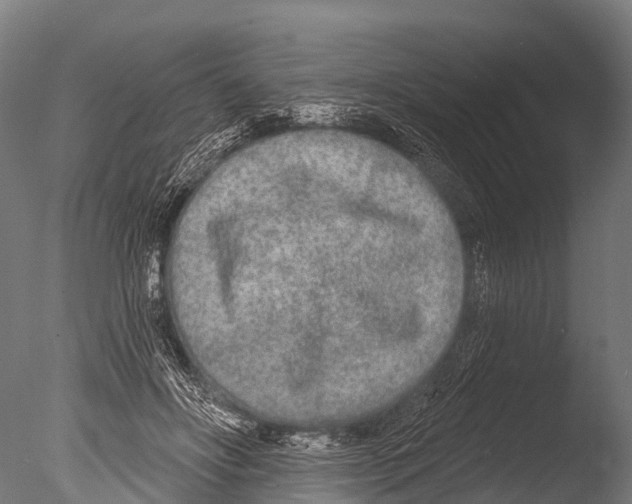 X0000085000502200704021337