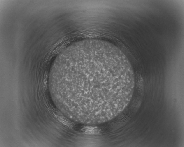 X0000085000507200704021337