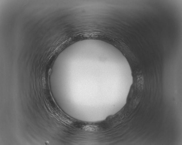 X0000085000508200704021337