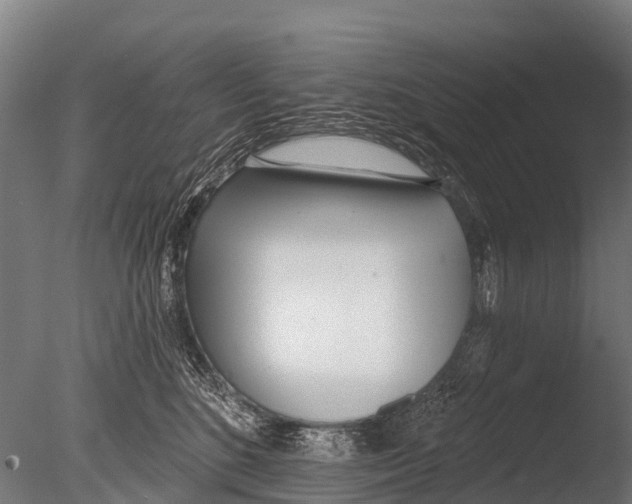 X0000085000520200704021337