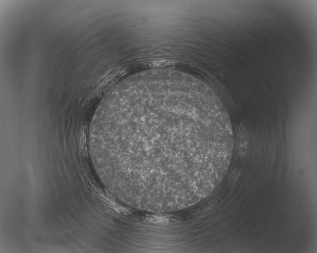 X0000085000523200704021337