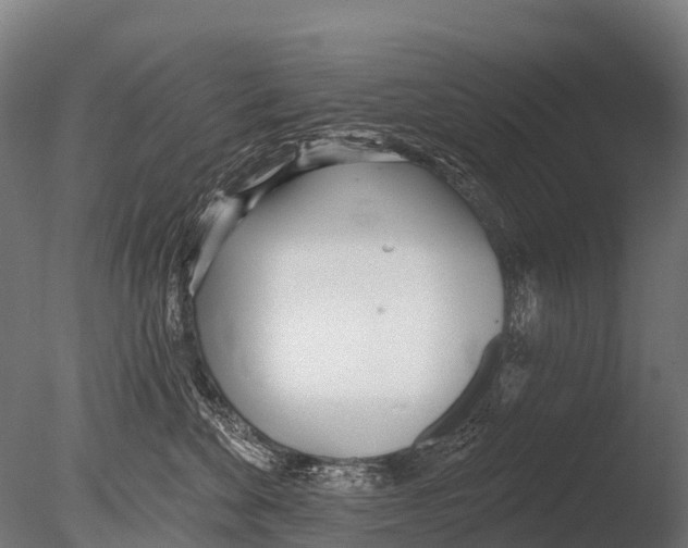 X0000085000524200704021337