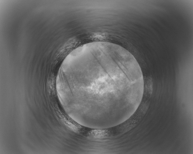 X0000085000526200704021337