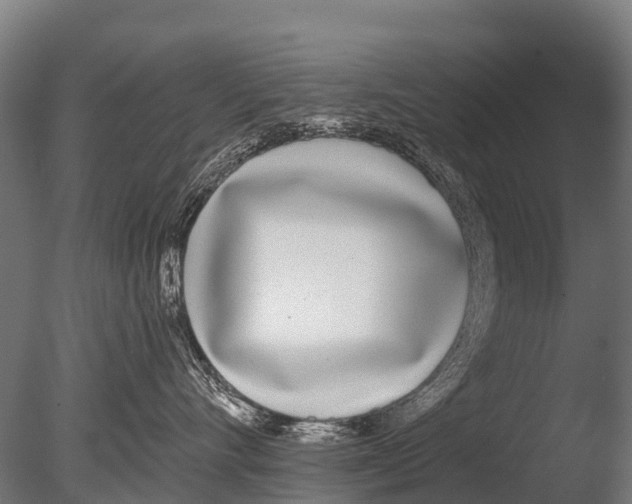 X0000085000528200704021337