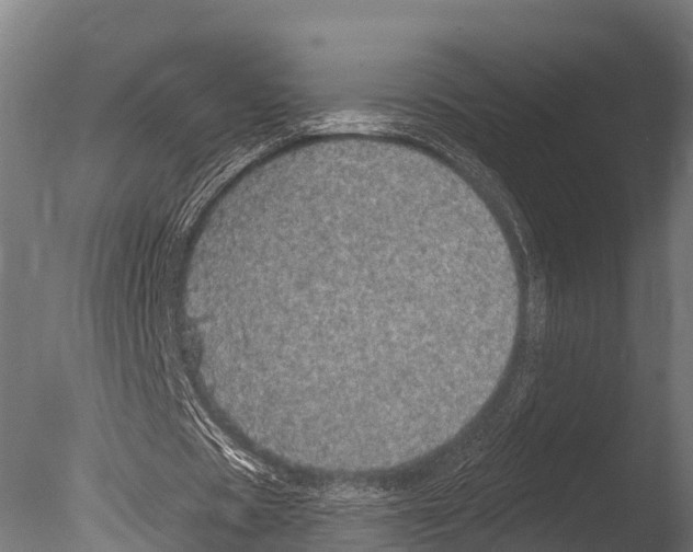 X0000085000529200704021336