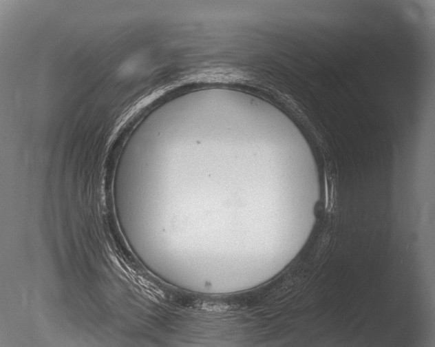 X0000085000531200704021336