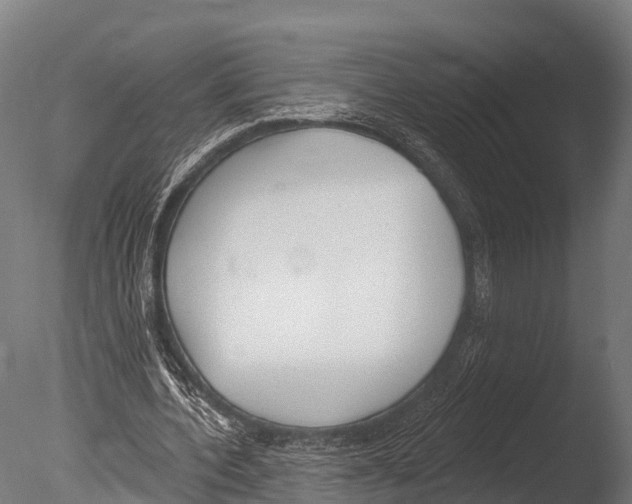 X0000085000532200704021336