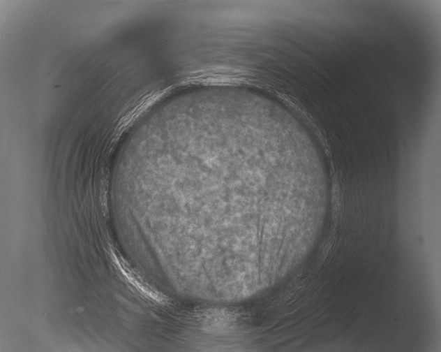 X0000085000533200704021336