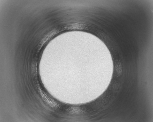 X0000085000534200704021336