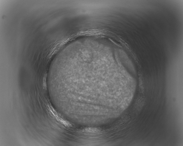 X0000085000537200704021336