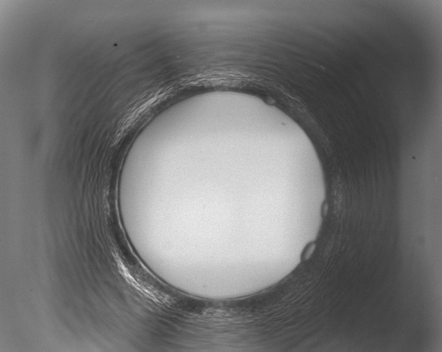 X0000085000538200704021336