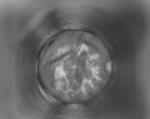 X0000085000542200704021336