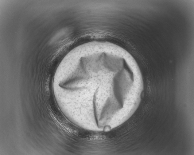 X0000085000543200704021336