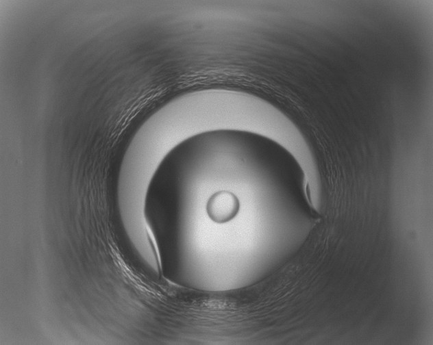 X0000085000546200704021336