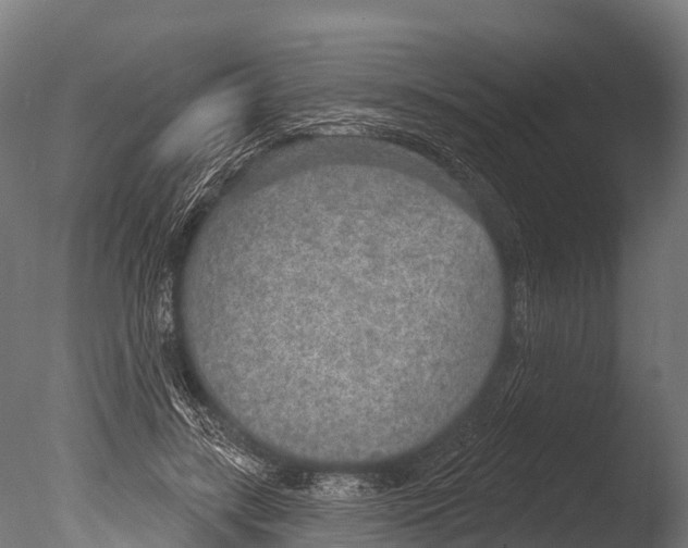 X0000085000547200704021336