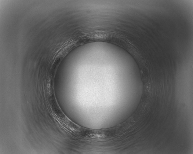 X0000085000552200704021336