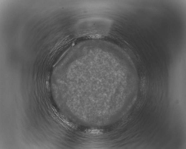 X0000085000553200704021336