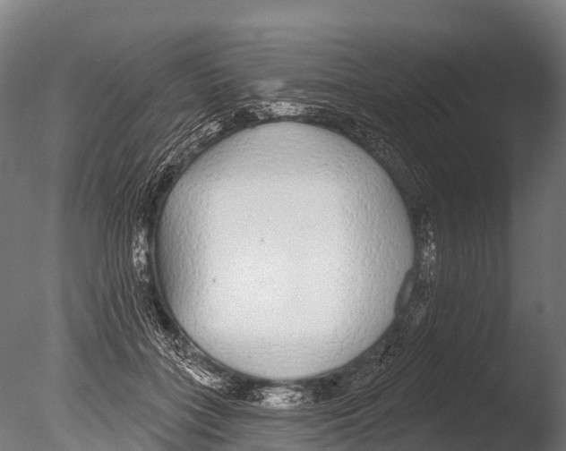 X0000085000555200704021336