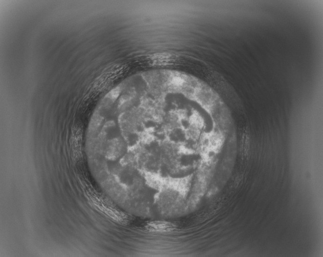 X0000085000557200704021336