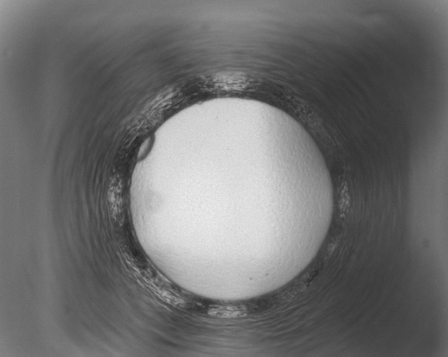 X0000085000559200704021336