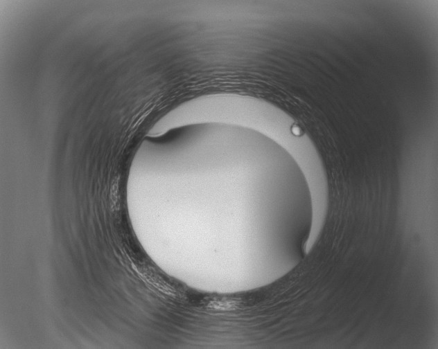 X0000085000560200704021336