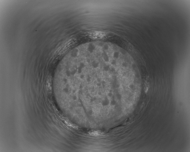 X0000085000561200704021337