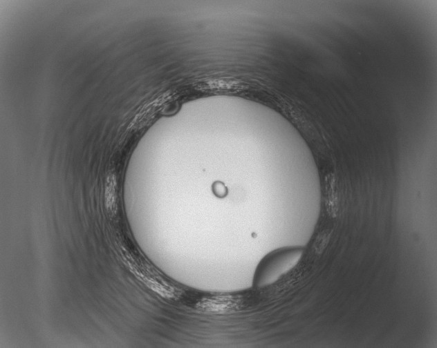 X0000085000563200704021337