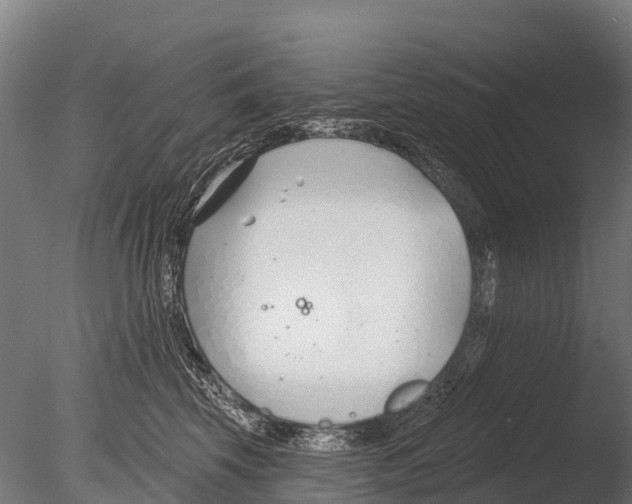 X0000085000569200704021337