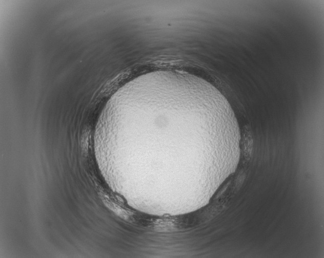 X0000085000574200704021337