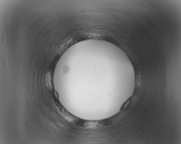 X0000085000575200704021337