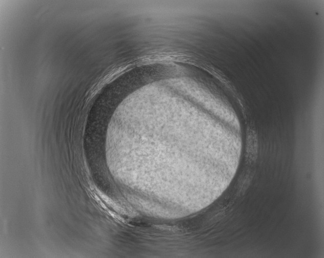 X0000085000577200704021336