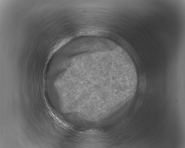 X0000085000578200704021336