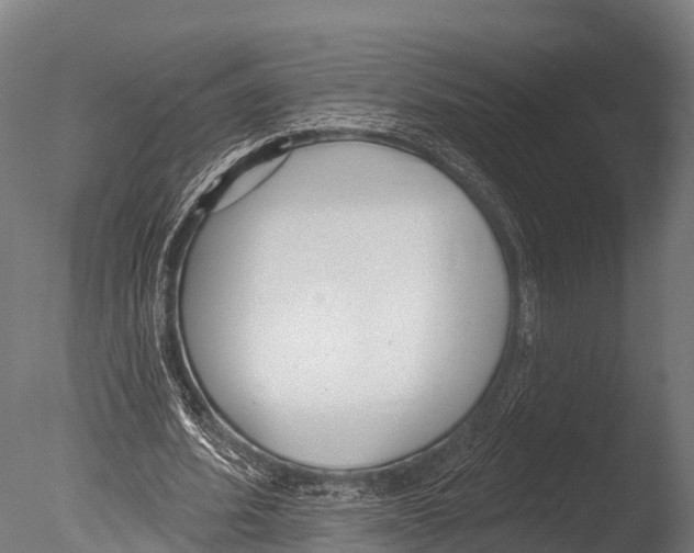 X0000085000580200704021336