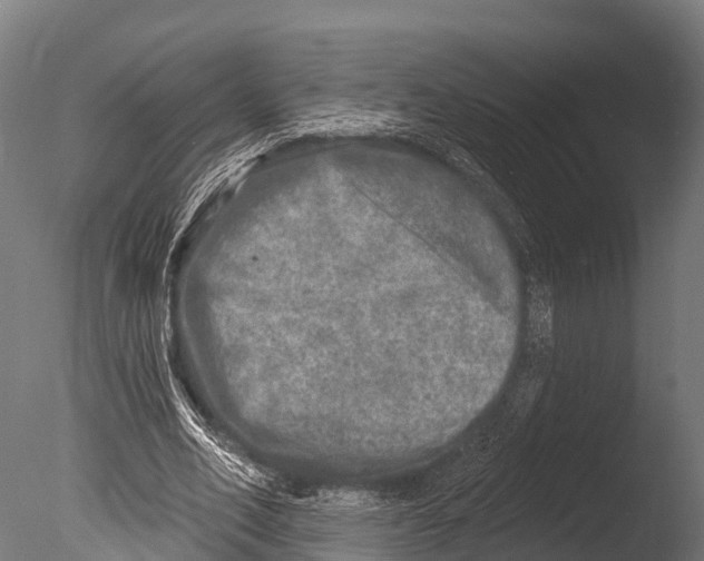 X0000085000582200704021336