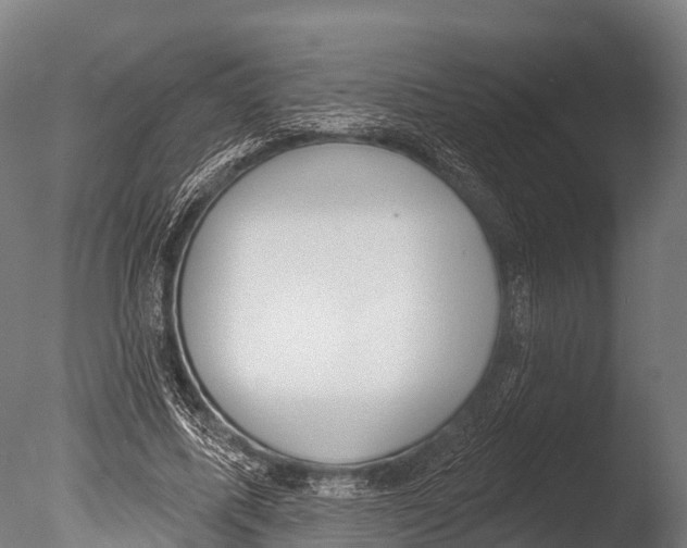 X0000085000587200704021336