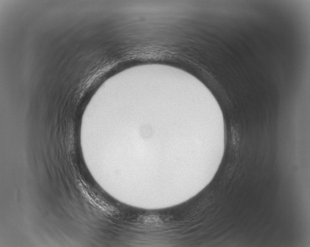 X0000085000588200704021336